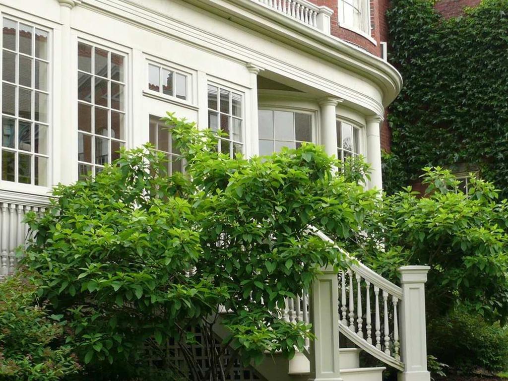 Blind Tiger Portland - Danforth Street Guest House Exterior foto